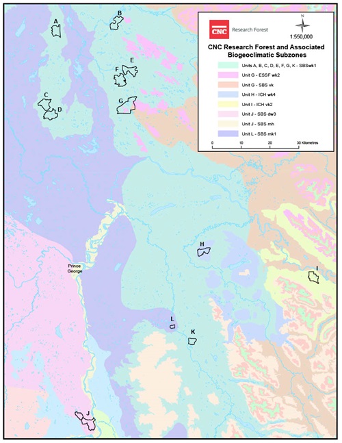 CNC_BEC boundaries
