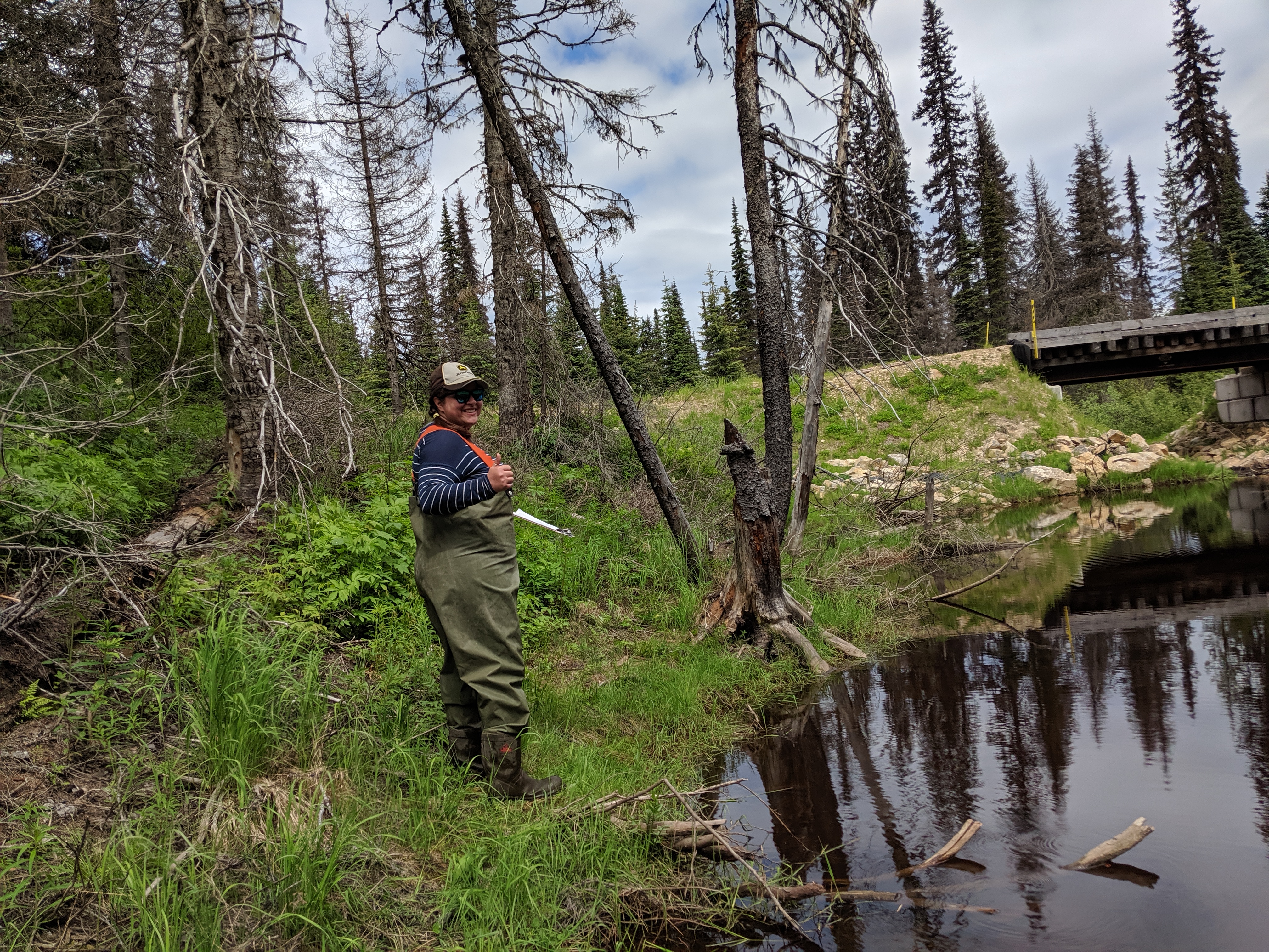 Sonja Aquatic Survey