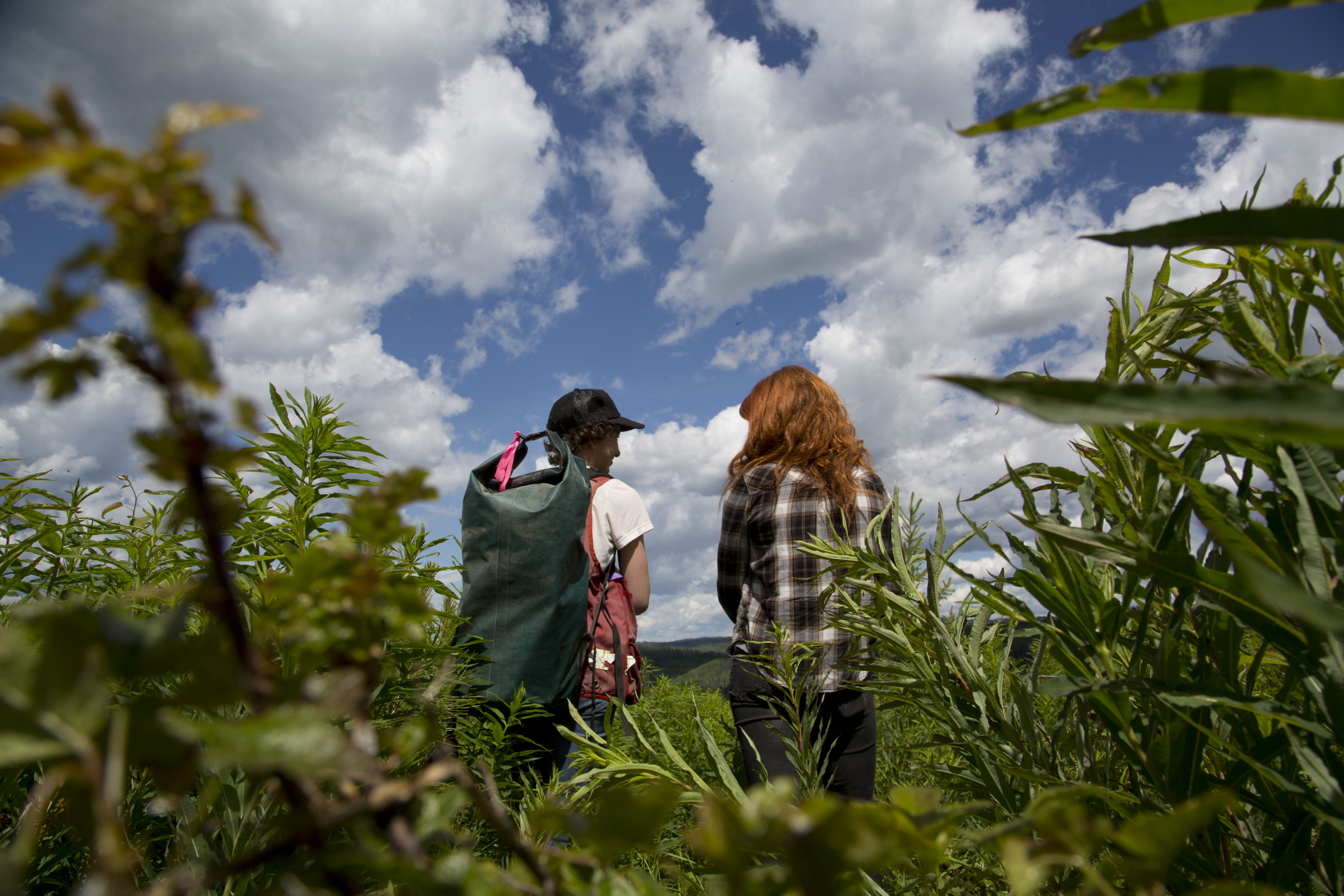 Research Forest assistants