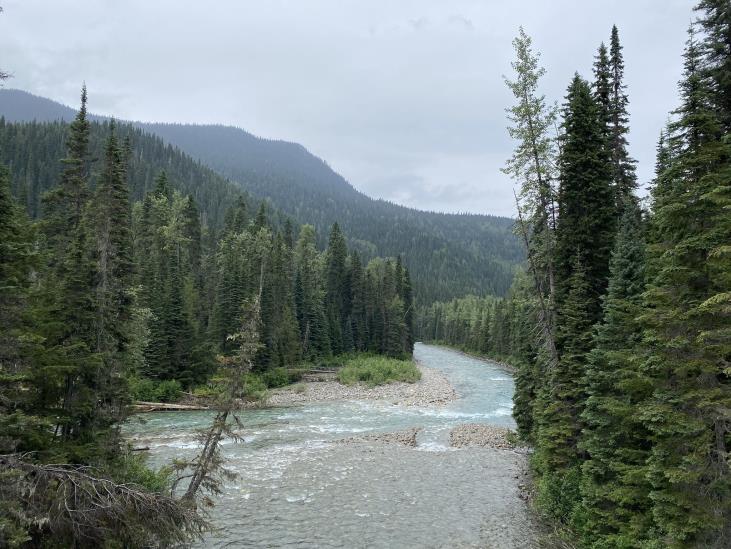 Fraser Headwaters Alliance Conservation