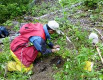 Collecting Sensor Data