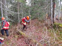 Student Post Harvest Bush