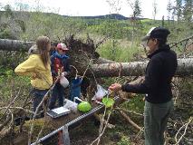 Student Research 2016-05-09