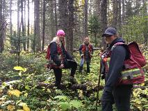 Unit L Forest Inventory